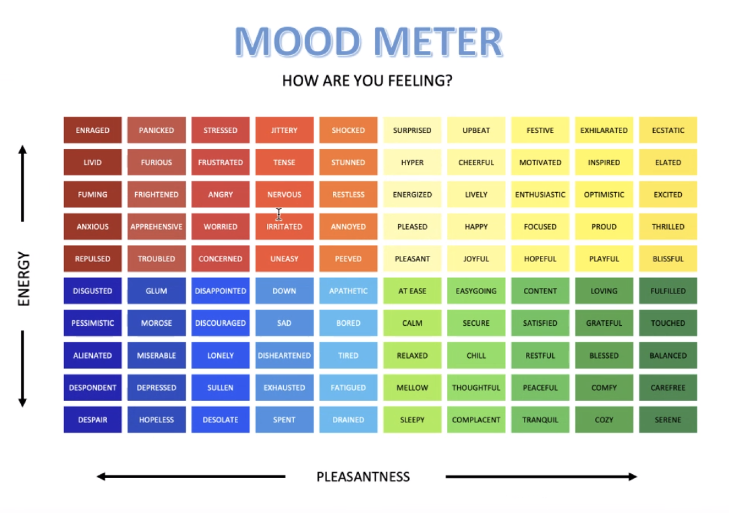 Mood Meters Ferris Elementary School